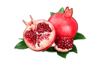 Pomegranate